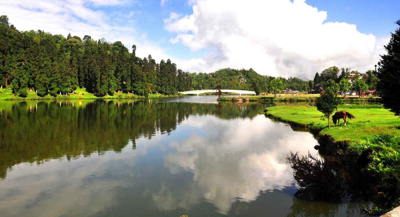 Tea gardens & Mirik Lake