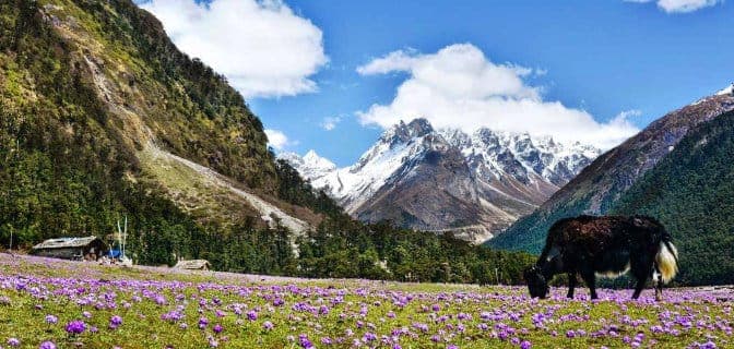 Lachen & Lachung